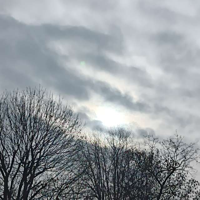 Fotos del Frente. Pronósticos del tiempo con hermosas fotos de YanBog en București