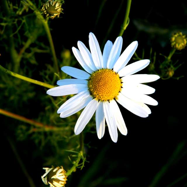 Weather forecasts with beautiful photos by ConstantinR