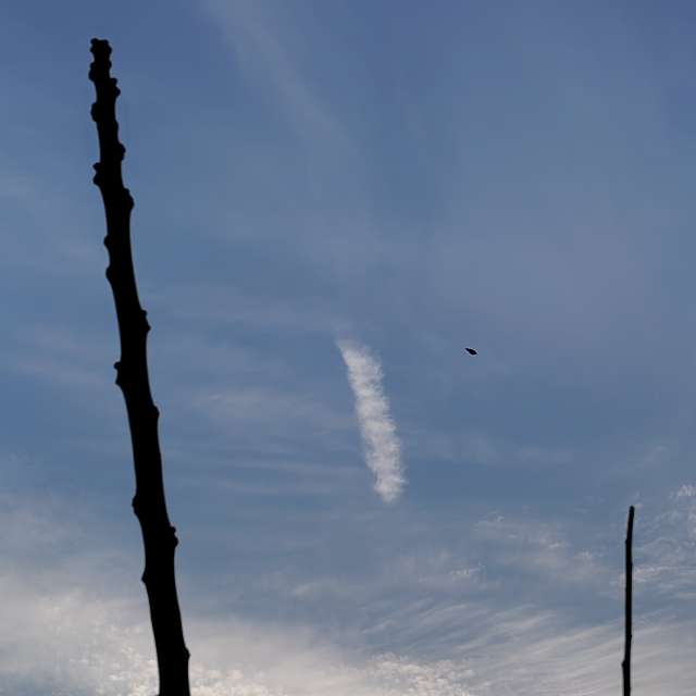 umemuiの美しい写真による天気予報