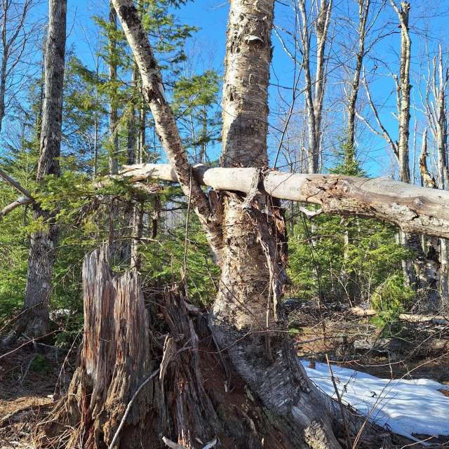 Weather forecasts with beautiful photos by NorthernMichiganBeauty