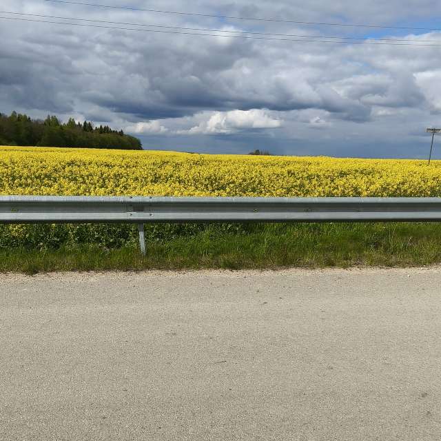 Hintergrund. Wettervorhersagen mit schönen Fotos von Valiukas Fotos Litauen