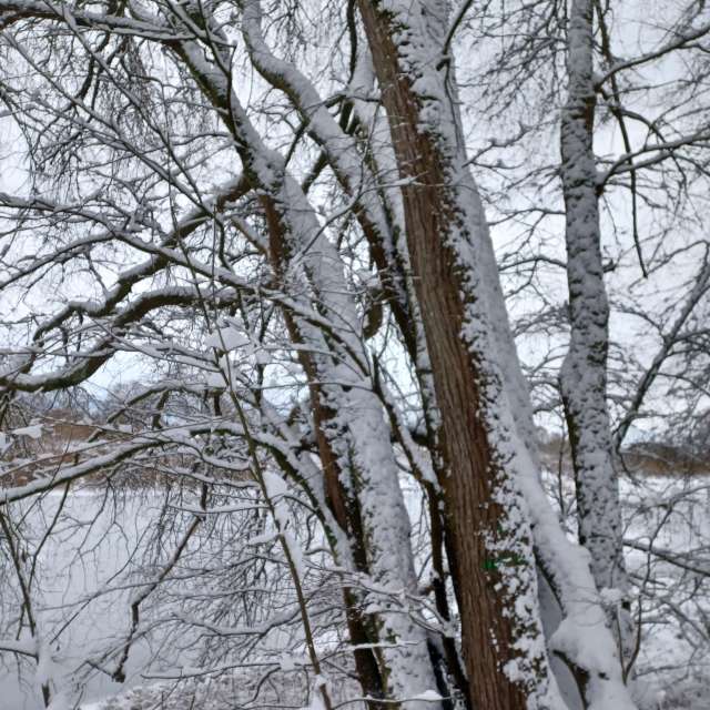 Weather forecasts with beautiful photos by Hikey