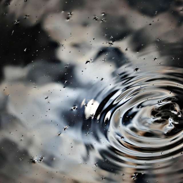 Weather forecasts with beautiful photos by Dandit
