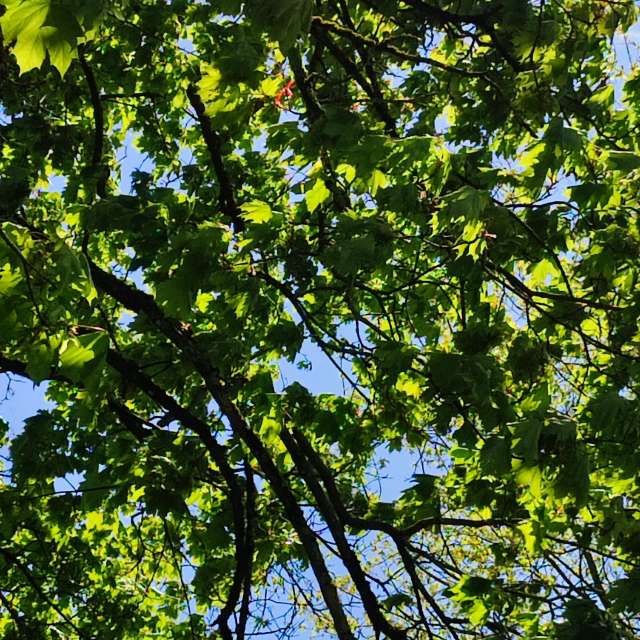 Food. Weather forecasts with beautiful photos by Tercis Photos in Ettlingen