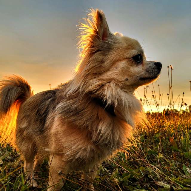 Frisbee. Weather forecasts with beautiful photos by hejpetrpepa Photos in Plzeň Region