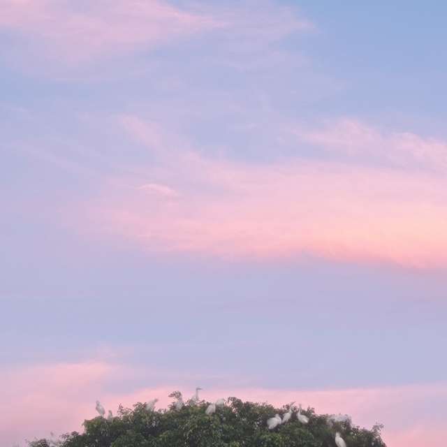 Прогнозы погоды с чудесными фотографиями, сделанными fernanda24h