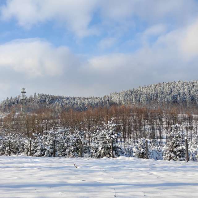 Gruppe. Wettervorhersagen mit schönen Fotos von Kripo Fotos Ladek Zdroj