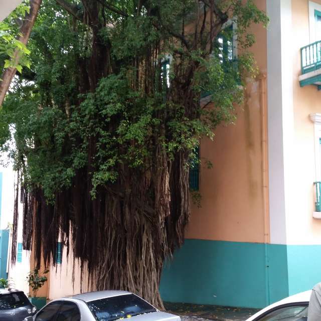 AnnaHakesの美しい写真による天気予報