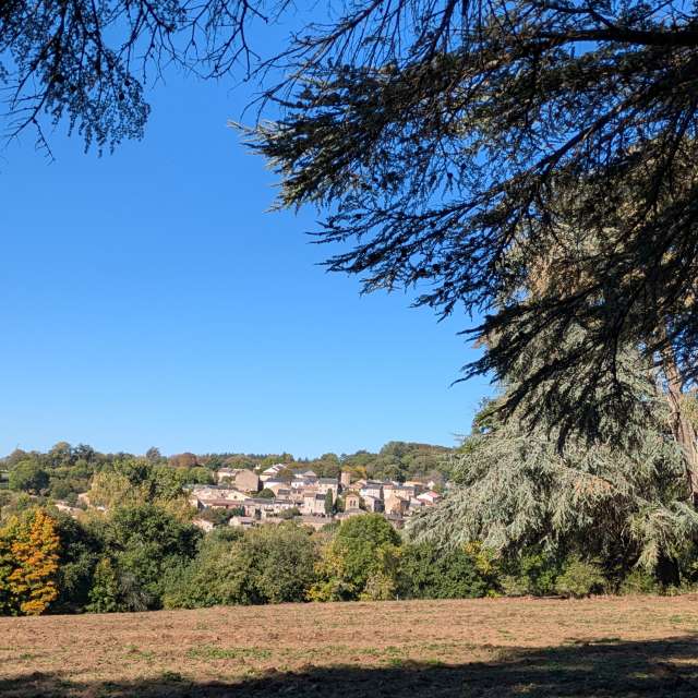 Morelenの美しい写真による天気予報