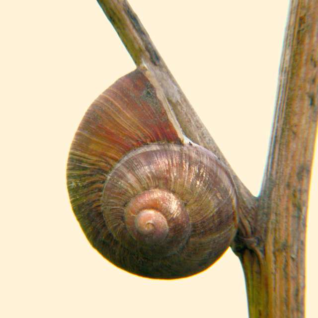 George Popoの美しい写真による天気予報