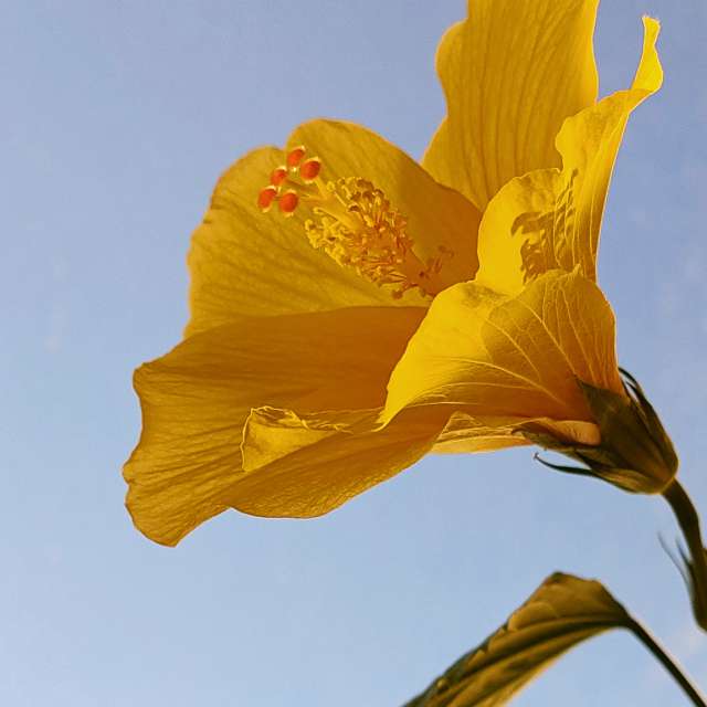 Photos météo à Monde. Prévisions météo avec de superbes photos de Belkka303