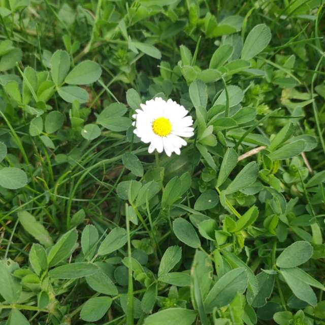 Ania-12の美しい写真による天気予報