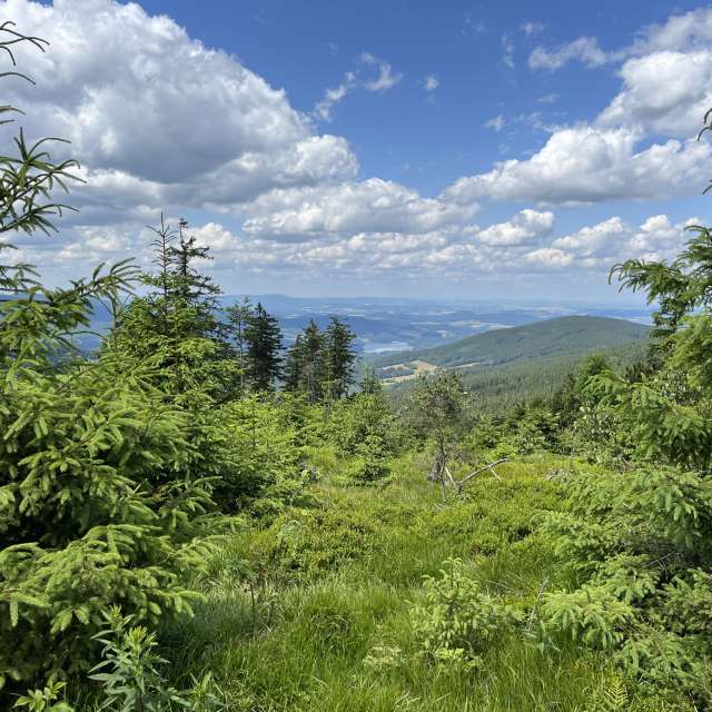 Jan95の美しい写真による天気予報
