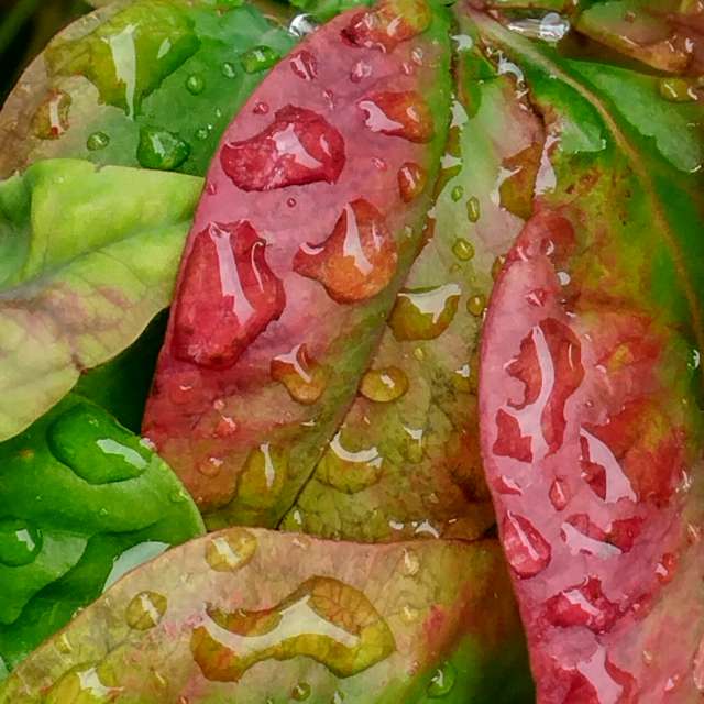 Прогнозы погоды с чудесными фотографиями, сделанными Allisong