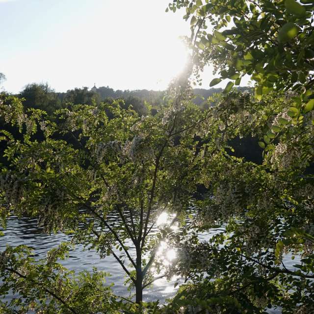 Fotos Rio. Previsões do tempo com lindas fotos de Vasek325 em Praha 12