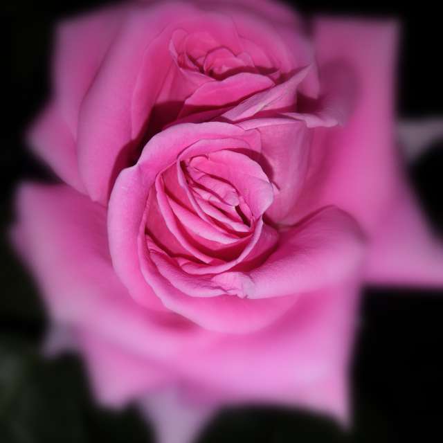 Wettervorhersagen mit schönen Fotos von Yurik