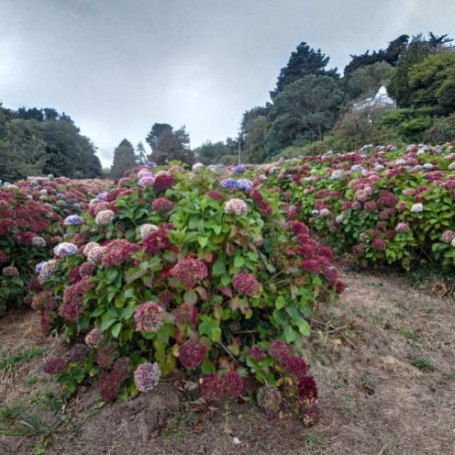 Previsões do tempo com lindas fotos de Clairette