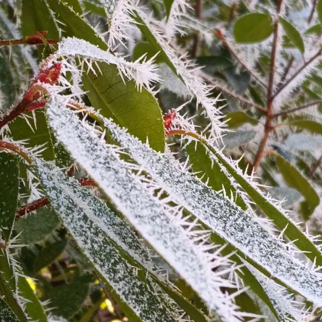 Prévisions météo avec de superbes photos de Am-b