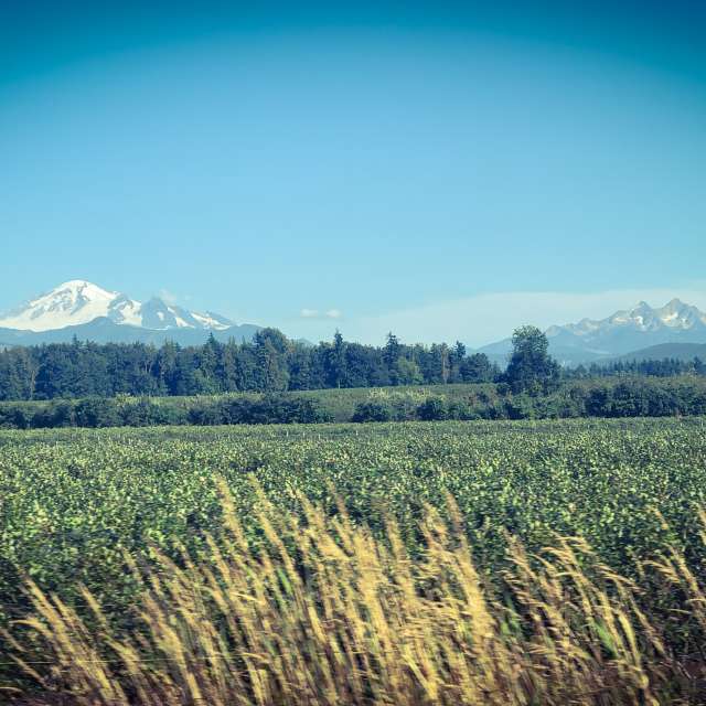 Pronósticos del tiempo con hermosas fotos de Birdy25