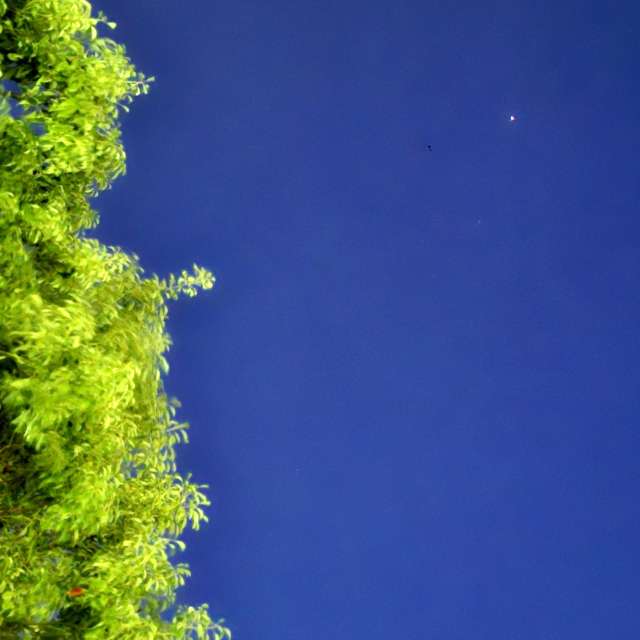 Clock. Weather forecasts with beautiful photos by Wen-ya Huang Photos in Kaohsiung City