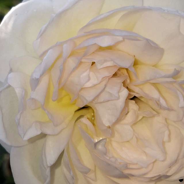 Wettervorhersagen mit schönen Fotos von Wen-ya Huang