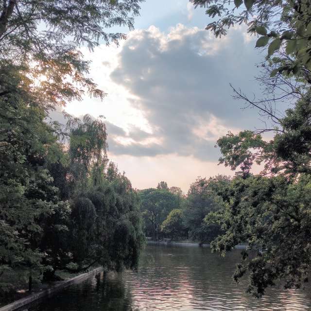 Fotos del Conduciendo. Pronósticos del tiempo con hermosas fotos de YanBog en București