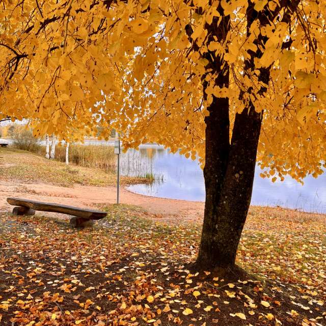 Weather forecasts with beautiful photos by Ewwa393