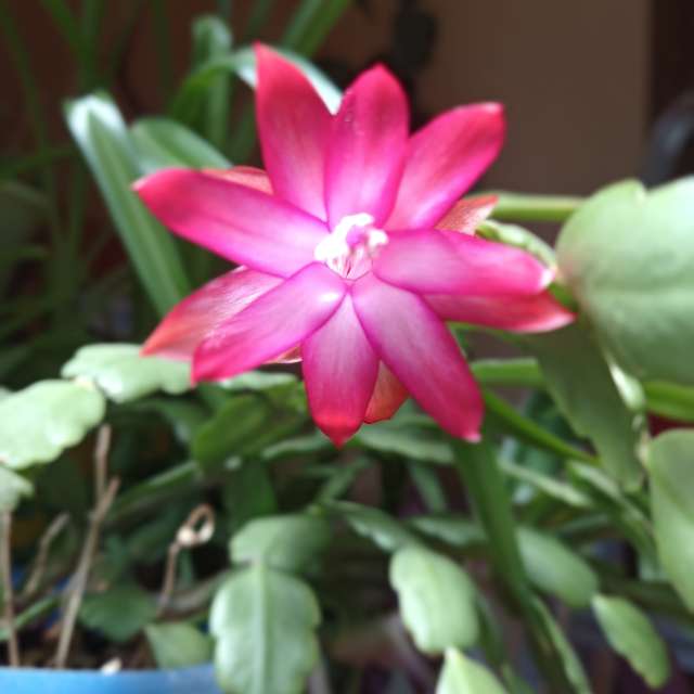 Weather Photos in World. Weather forecasts with beautiful photos by Amanda_and_Valdemar_Che