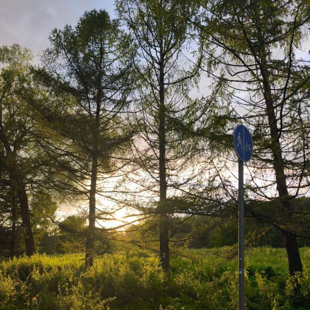 GREENE. Weather forecasts with beautiful photos by Amanda_and_Valdemar_Che Photos in Izmaylovo District