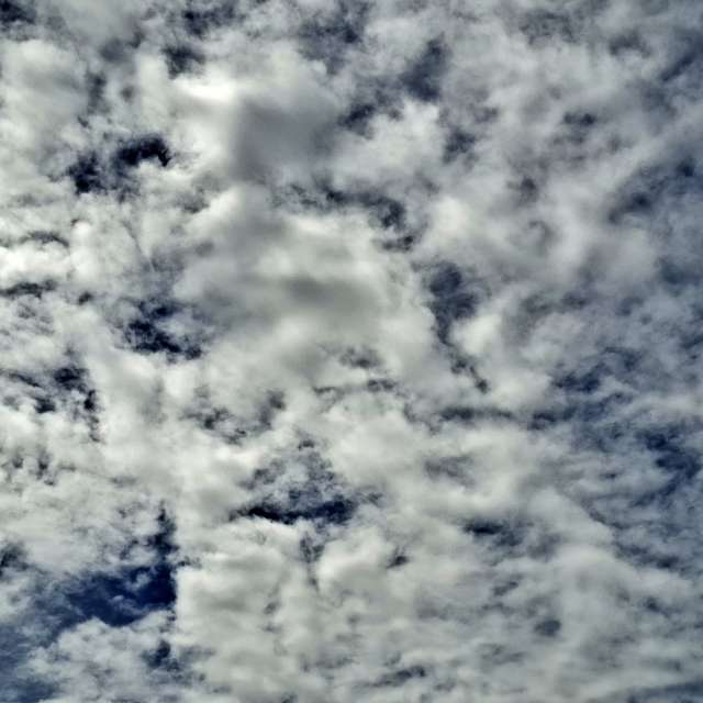 Fotos Cavalgando. Previsões do tempo com lindas fotos de Wen-ya Huang em Kaohsiung City