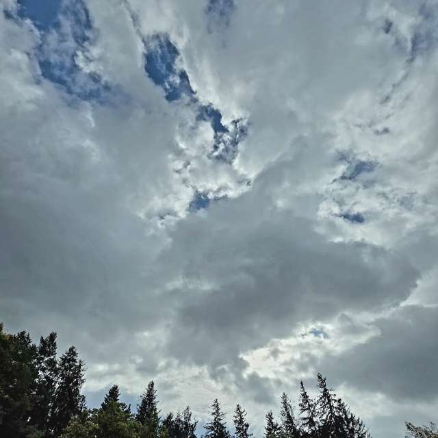 Man. Weather forecasts with beautiful photos by Camelyon Photos in Centru Muzeal Cazinoul Băilor Vatra Dornei