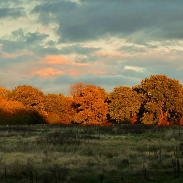 Hình ảnh Thời tiết ở Thế giới. Dự báo thời tiết với những bức ảnh đẹp của DarekCho