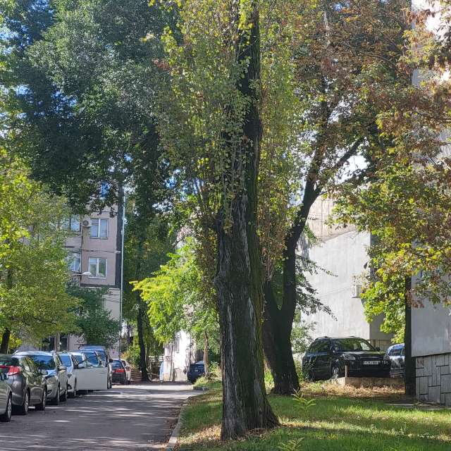 Prévisions météo avec de superbes photos de InnaMoon
