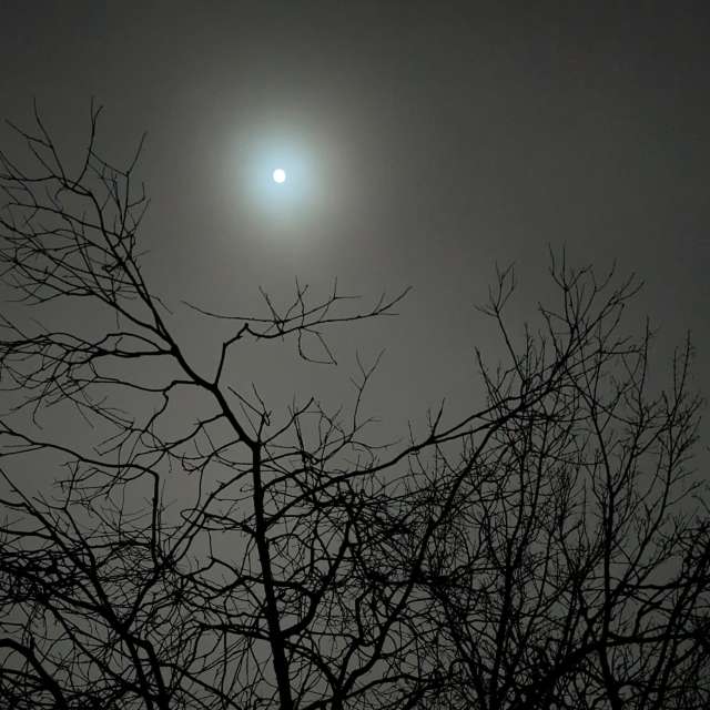 Прогнозы погоды с чудесными фотографиями, сделанными Sunshinelady62