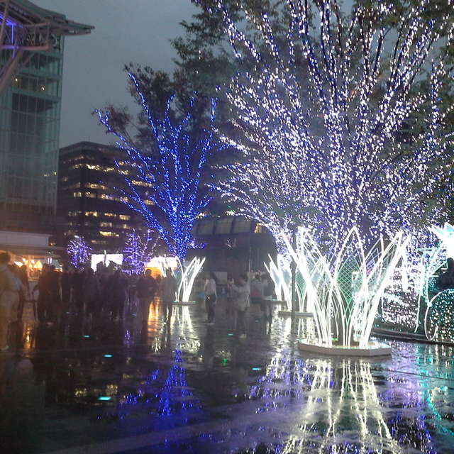 Isabelle Nambuの美しい写真による天気予報