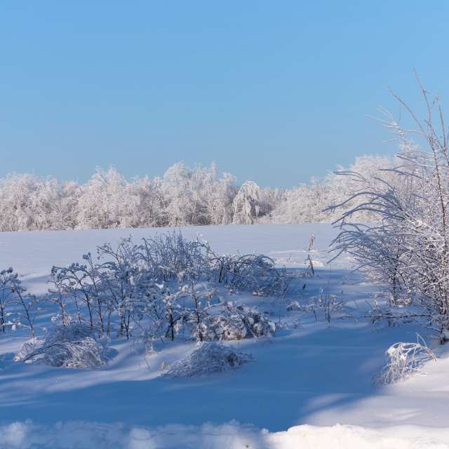 Прогнозы погоды с чудесными фотографиями, сделанными Aleh_Narushevich