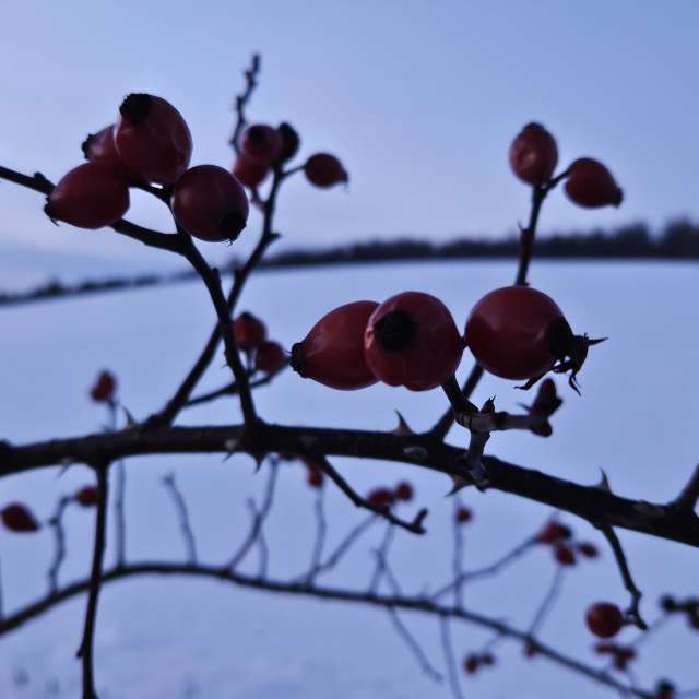 Gegenwehrの美しい写真による天気予報