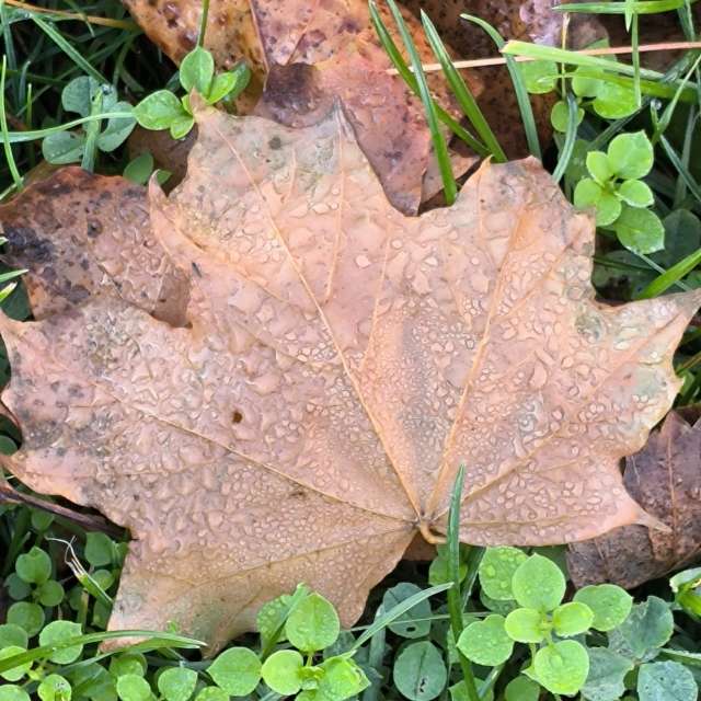 Dự báo thời tiết với những bức ảnh đẹp của Claudsch