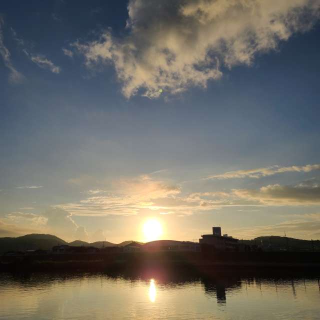 Sheep. Weather forecasts with beautiful photos by あさのジジ Photos in Okayama