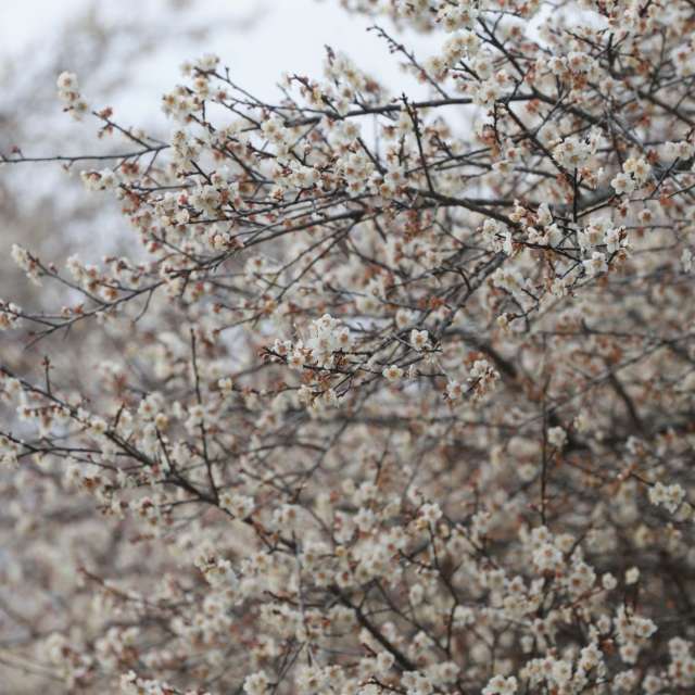 Weather forecasts with beautiful photos by xhhx