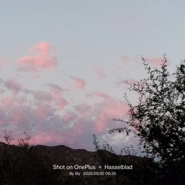 MsSlyの美しい写真による天気予報