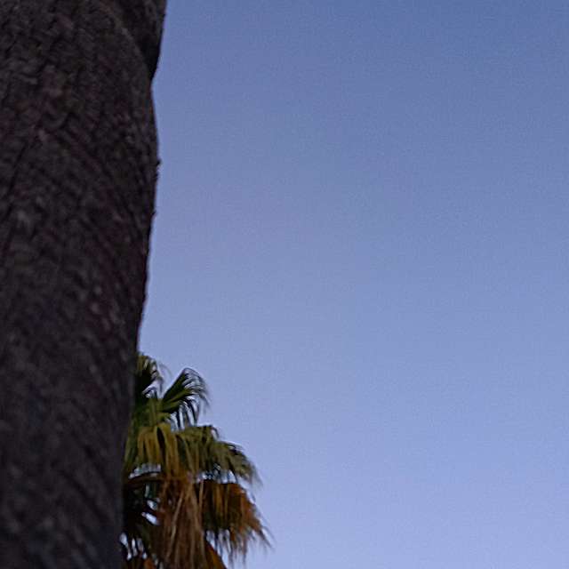 Pronósticos del tiempo con hermosas fotos de MOR