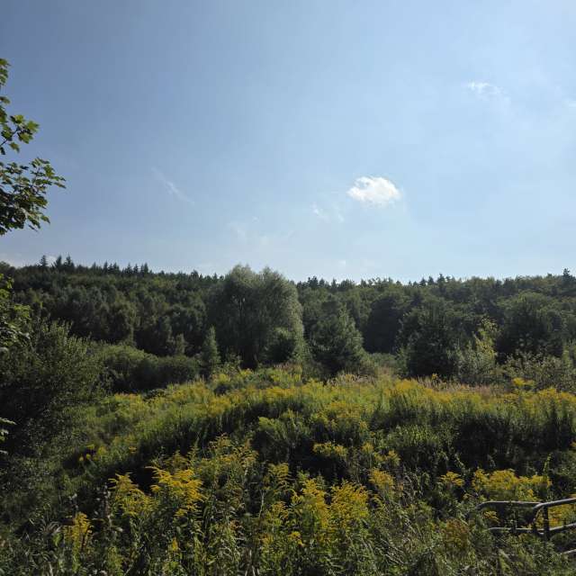 xPrzybyLxの美しい写真による天気予報