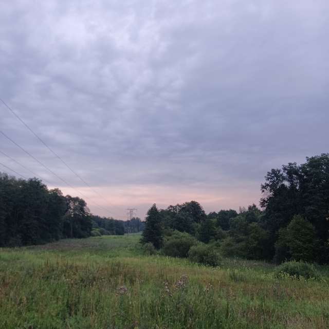 Grazing. Weather forecasts with beautiful photos by Amanda_and_Valdemar_Che Photos in Izmaylovo District