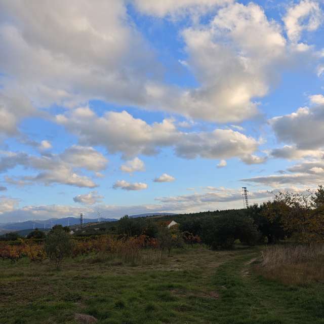 RoncevicRの美しい写真による天気予報