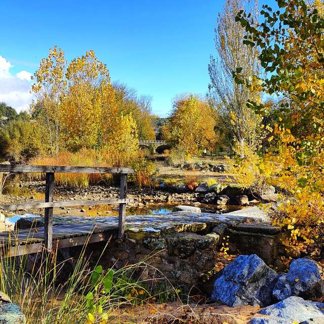 Pasture. Weather forecasts with beautiful photos by Enylu Photos in World