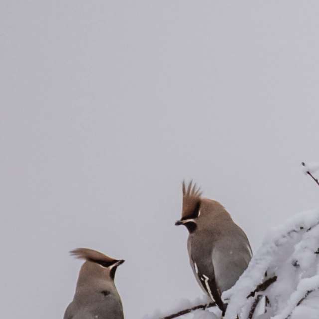 Фотографии Погоды в Мир. Прогнозы погоды с чудесными фотографиями, сделанными Nymph542