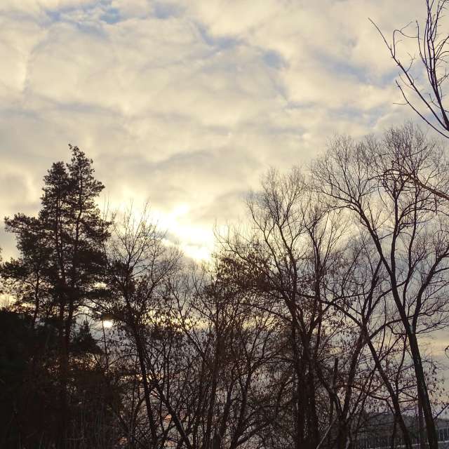 Country. Weather forecasts with beautiful photos by Михаил Гавриков Photos in Kharkiv