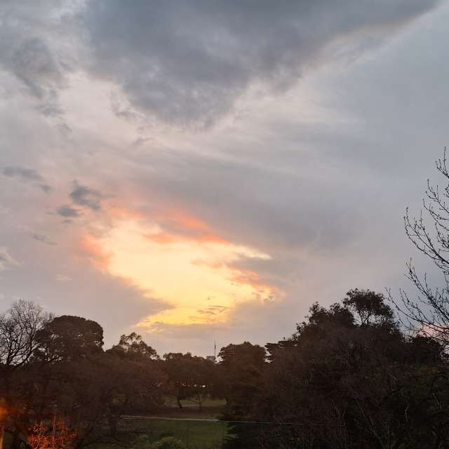 Weather forecasts with beautiful photos by bats