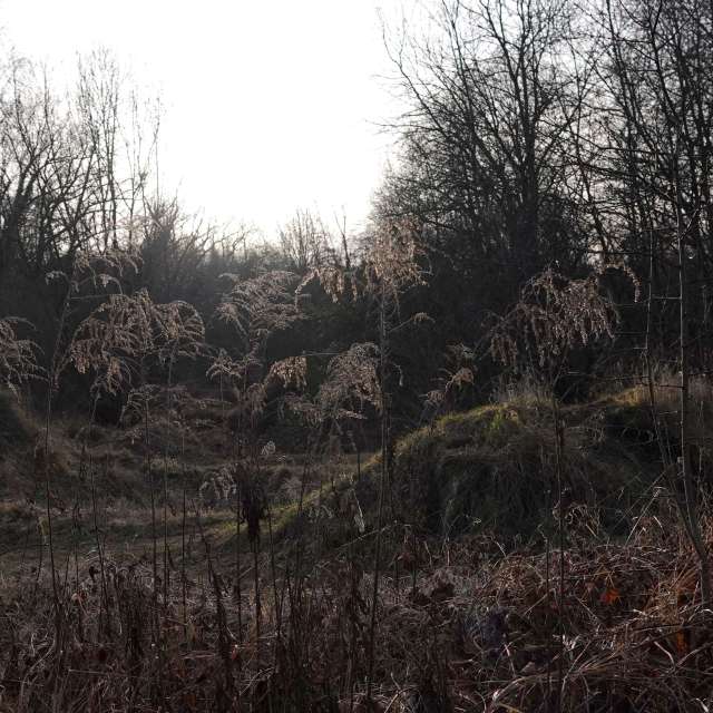 Fotos Verde. Previsões do tempo com lindas fotos de Vasek325 em Praha 12